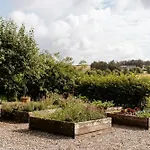 Pure Idyll For Large Families