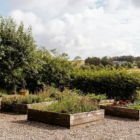 Pure Idyll For Large Families